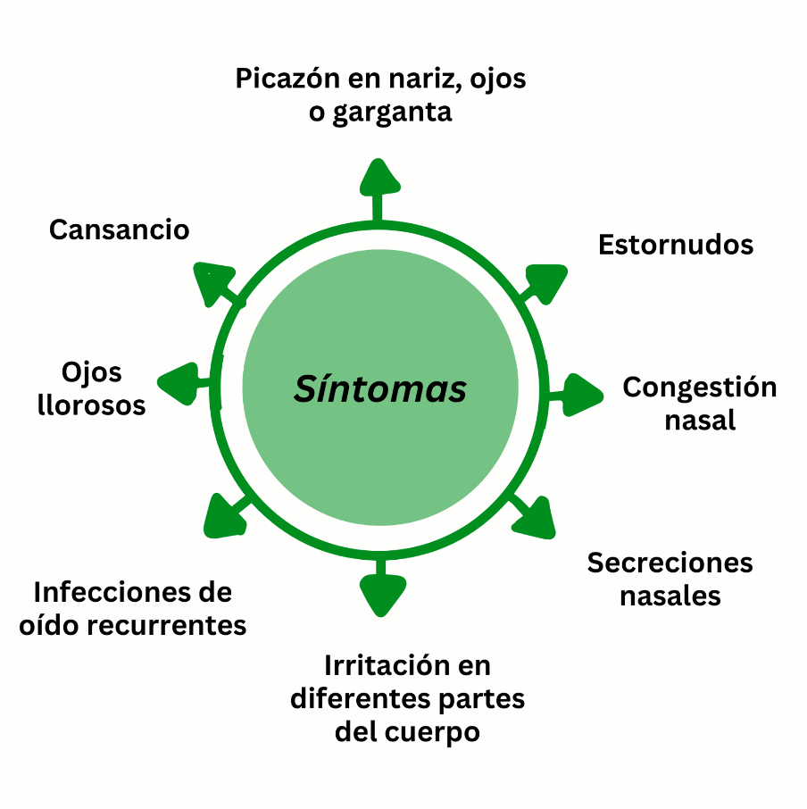 La rinitis alérgica es una condición común que afecta la calidad de vida, particularmente generando inflamación e incomodidad en zonas como los ojos, oídos, garganta y nariz. Esto ocurre cuando el cuerpo reacciona a alérgenos presentes en el aire.  Esto provoca síntomas como:  Picazón en nariz, ojos o garganta  Estornudos  Congestión nasal  Secreciones nasales  Ojos llorosos  Irritación en diferentes partes del cuerpo  Infecciones de oido recurrentes  Cansancio