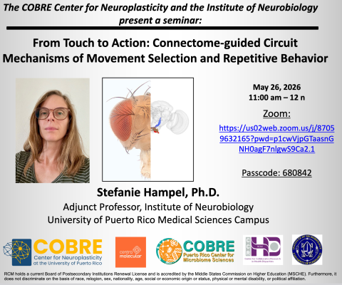 Stefanie Hampel, Ph.D. SEMINAR