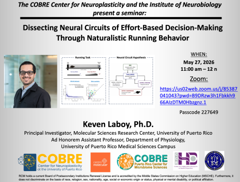 Dissecting Neural Circuits of Effort-Based Decision-Making Through Naturalistic Running Behavior
