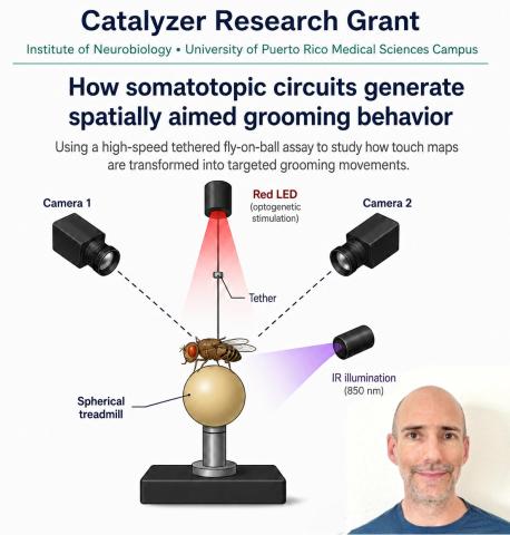 Catalyzer Research Grant awarded to Dr. Andrew Seeds