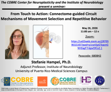 Stefanie Hampel, Ph.D. SEMINAR