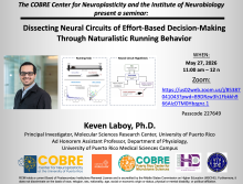 Dissecting Neural Circuits of Effort-Based Decision-Making Through Naturalistic Running Behavior