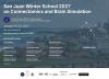 Flyer: Applications are open for the San Juan Winter School on Connectomics and Brain Simulation 2027!