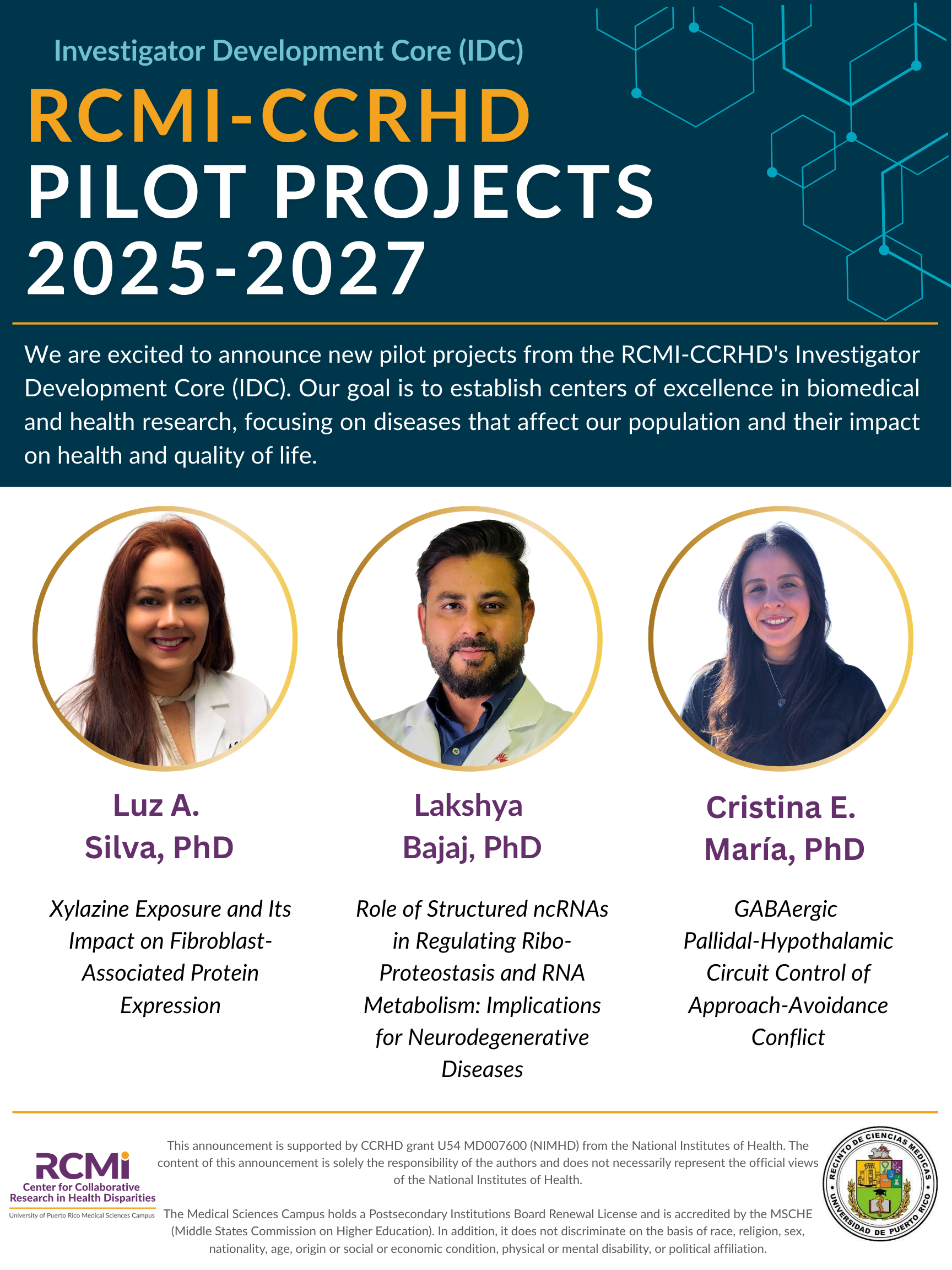 Pilot project investigators awards