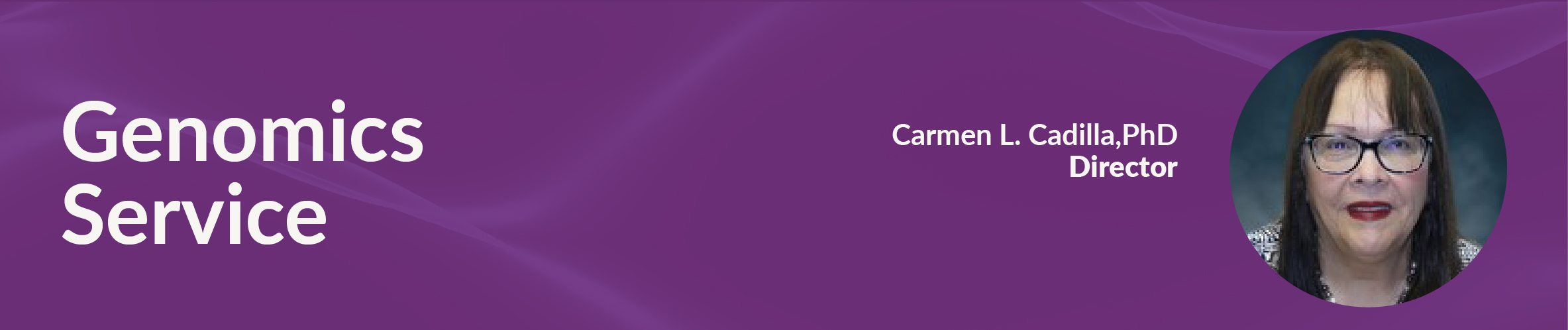 banner core title and director
