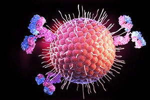 hpv