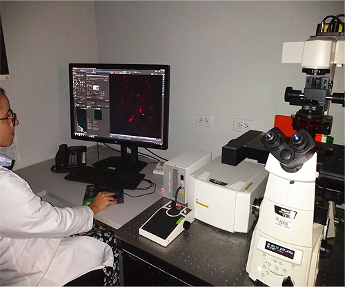 Nikon A1R laser scanning confocal microscope